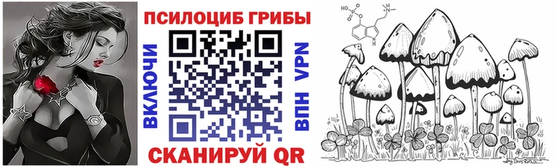 Псилоцибиновые грибы GOLDEN TEACHER  Лысково 